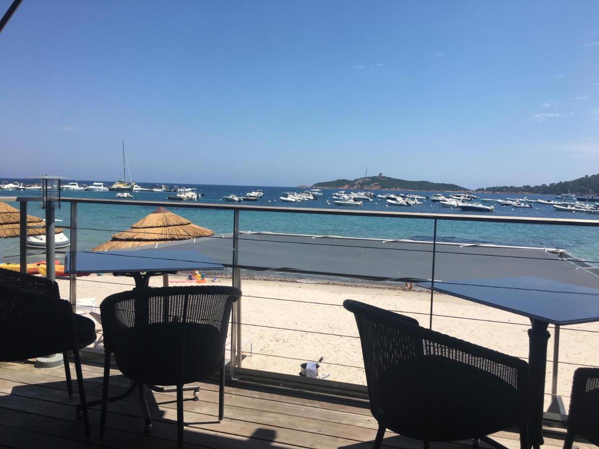 La Corse Les Pieds Dans L'Eau Apartment พินาเรลลู ภายนอก รูปภาพ