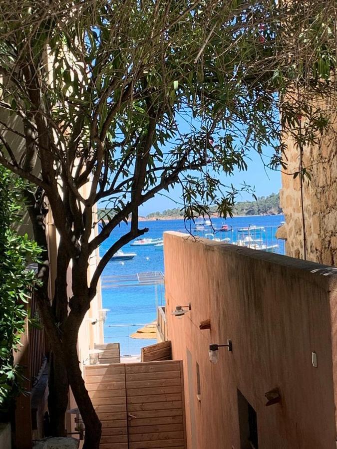 La Corse Les Pieds Dans L'Eau Apartment พินาเรลลู ภายนอก รูปภาพ